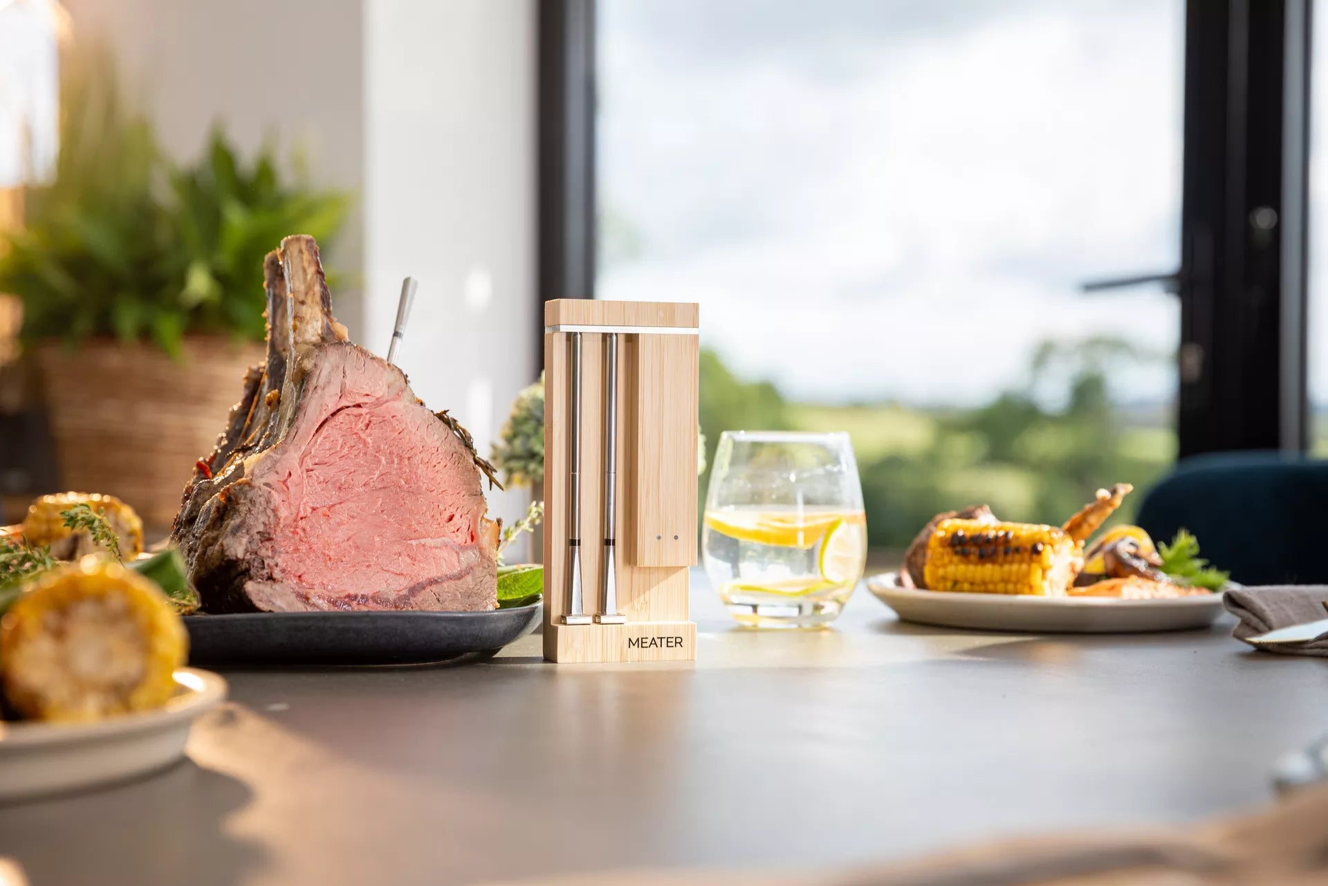 MEATER Pro Duo smart meat thermometer with two WiFi probes for dual cooking and remote monitoring, available for pre-order